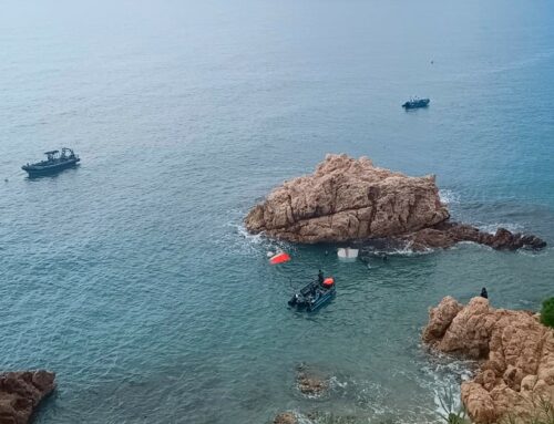 Entitats ecologistes i experts denuncien que el rodatge a la Roca Grossa perjudica el corb marí