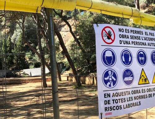 Comencen les obres per adequar la bassa de la Pedrera del Parc Dalmau