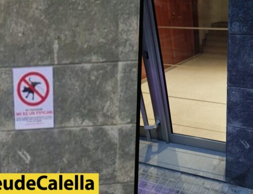 Denuncien el robatori d’una placa contra els orins dels gossos: “és molt demanar que no siguem incívics?”