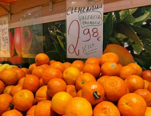 Les fruiteries calellenques avisen que faltaran taronges i mandarines valencianes per Nadal