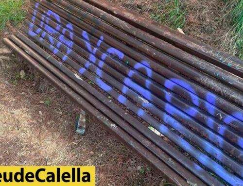 Denuncien que un banc del Parc Dalmau està trencat i grafitejat