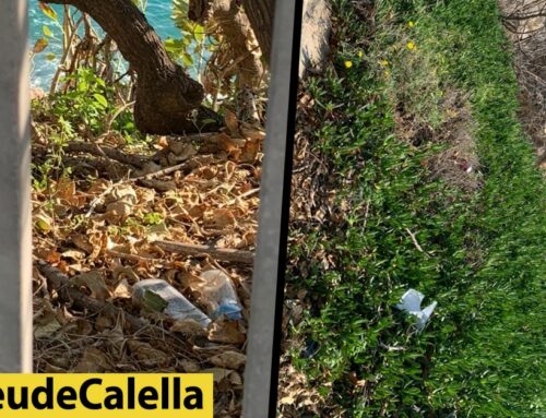 Deixalles llençades des de la N-II cap a les cales de la platja de les Roques