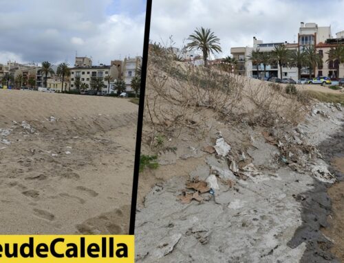 Tovalloletes que es llencen al vàter i acaben a la platja: “El mar no és una claveguera”